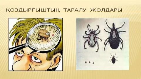 Анджелина Вовк секс