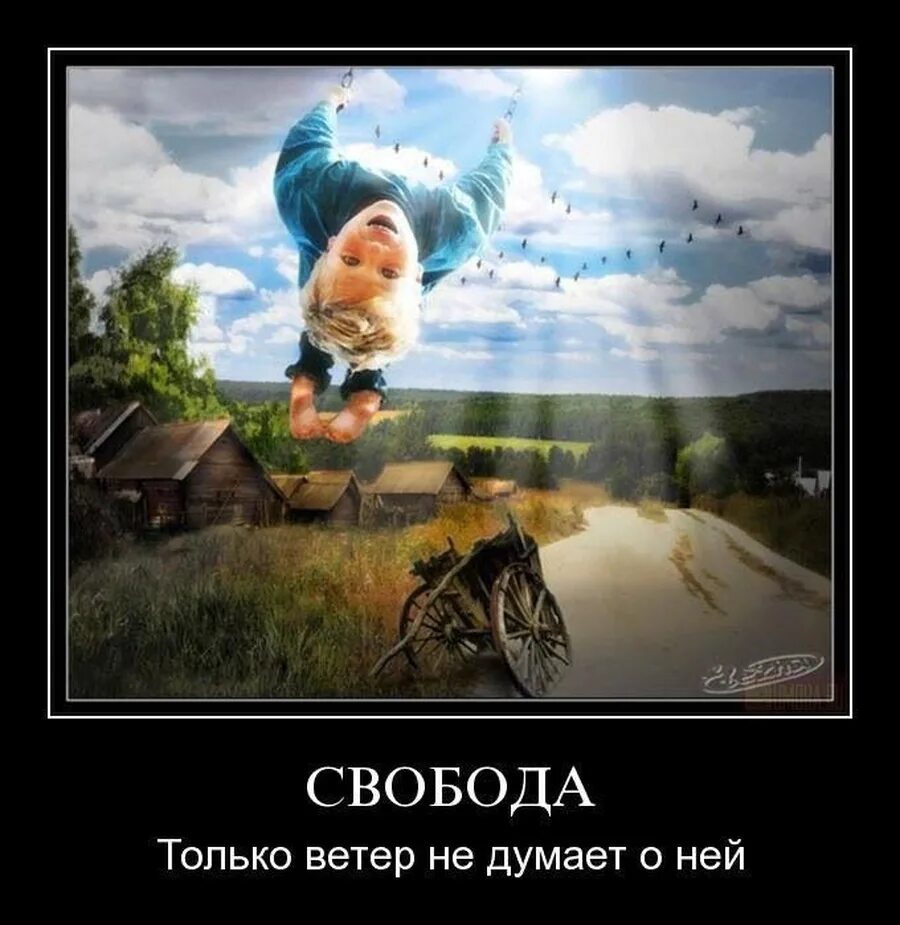 Остановись ветер предложения. Свобода демотиваторы. только свобода. свобода картинки прикольные. ветер демотиватор.