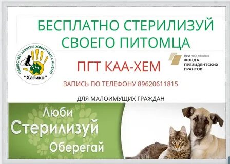 Отзывы клиники хатико