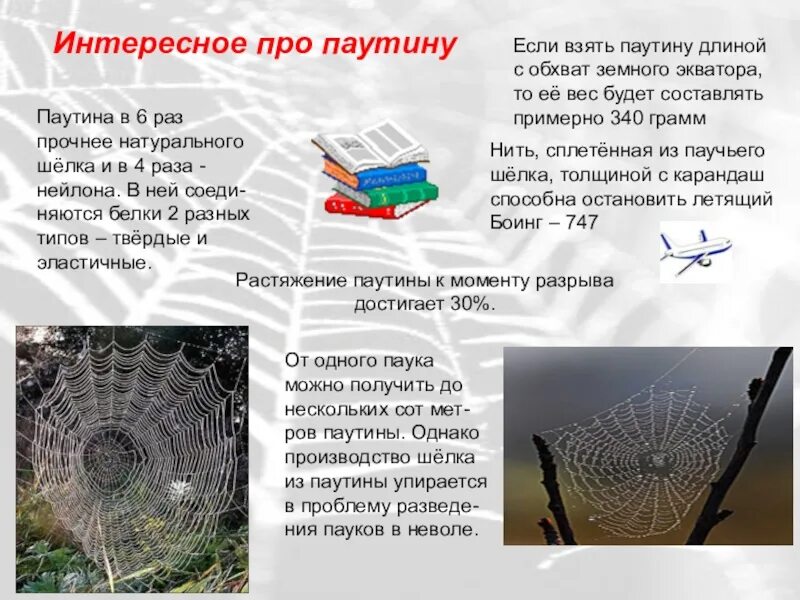 Я сплел сеть а чего добился. Плетем сети стихи. Схема плетения из газетных трубочек для начинающих пошагово. Плетем сети стихи. А чего добился ты.