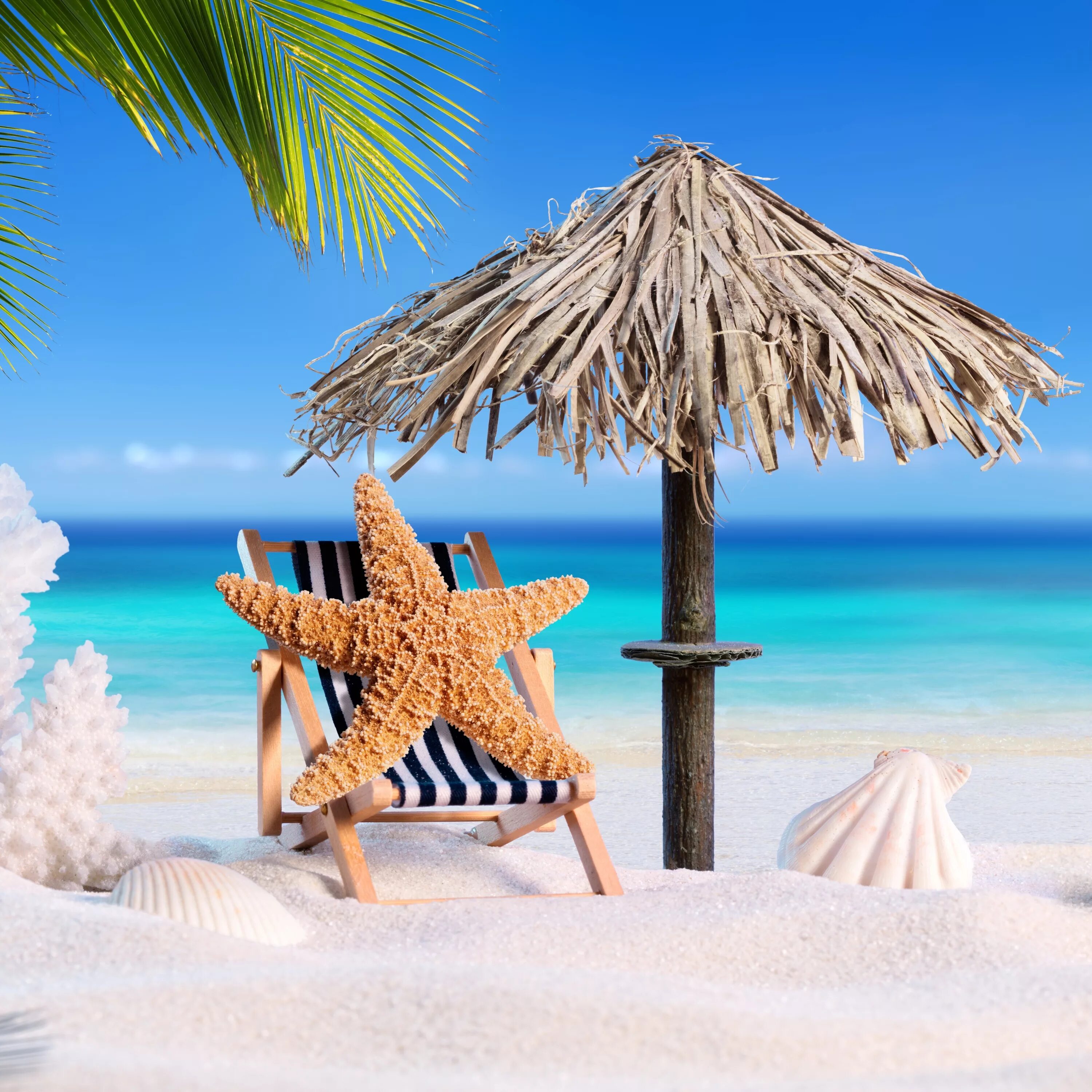 Com. Софитур. Софи тур мелеуз. Софитур. Софитур.