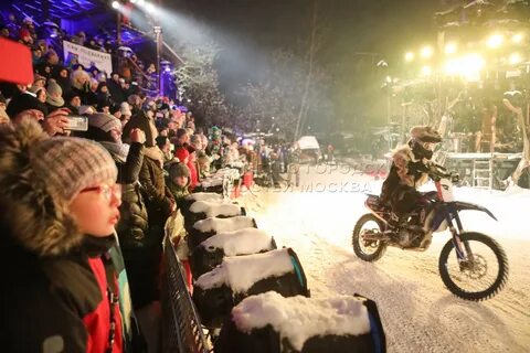 Волки елки арбат