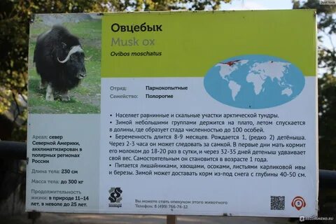 Московский зоопарк факты