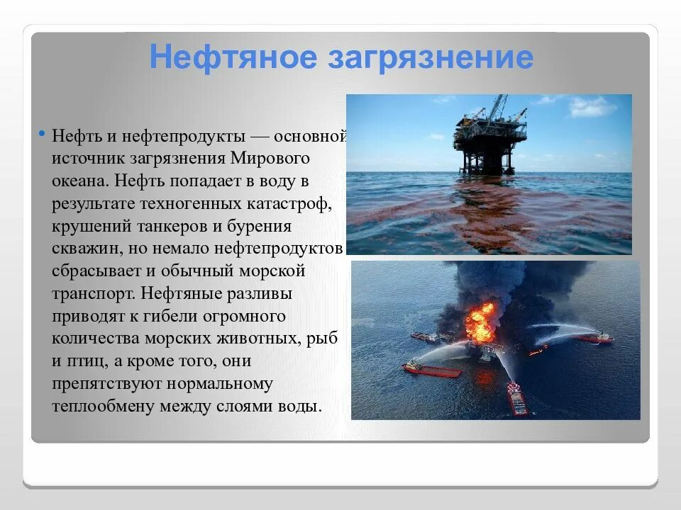 Что является основным загрязнителем мирового океана. Что является основным загрязнителем мирового океана
