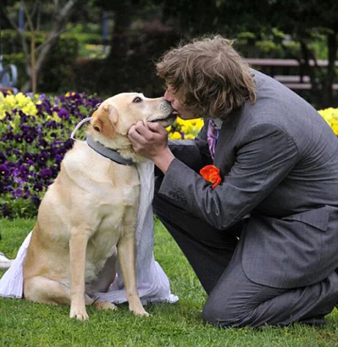 Husband dog wife. Лабрадор Жозеф. Мужчина с лабрадором. Браки с животными.