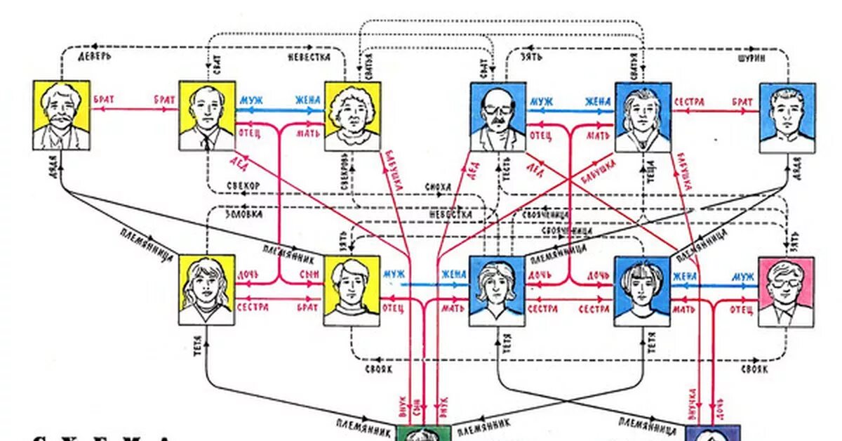 Родственные связи схема родства. Родственные связи схема для детей. Как называются родственные связи кто кому приходится схема полная. Схема родственных связей в семье. Жена брата на камеру