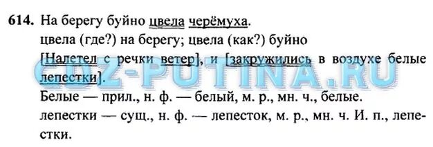 Решебник по русскому языку 2 класс. Русский язык 3 класс Рамзаева ответы. Русский язык 3 класс 2 часть страница 123 упражнение 221. Русский язык 5 класс 2 часть номер 669.