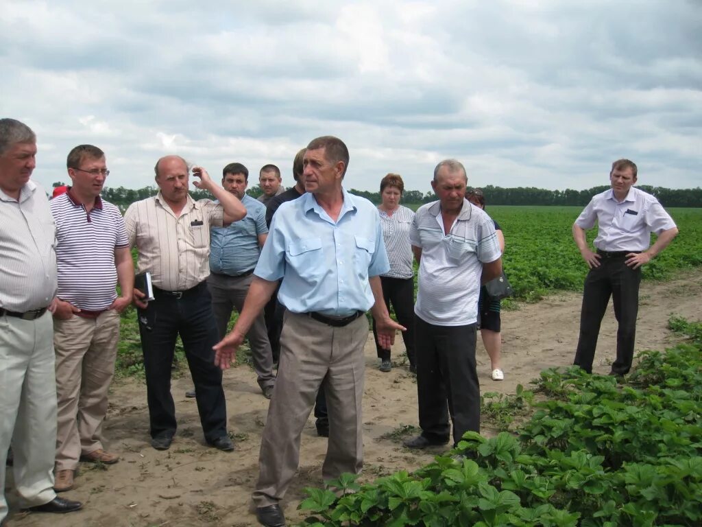 Погода кировский район село советское