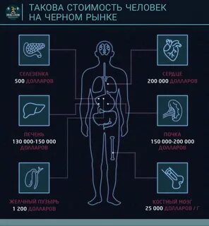 Мужские яички на черном рынке сколько