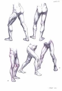 Leg reference