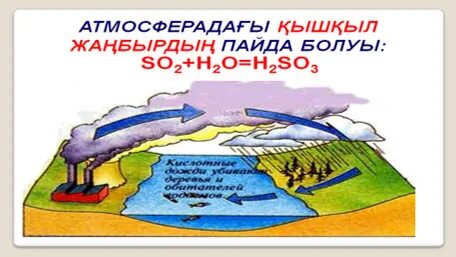 футанарлық кастрация