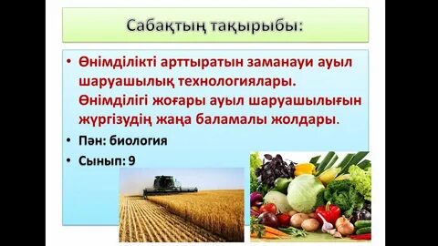 Ең қалаулы қынап