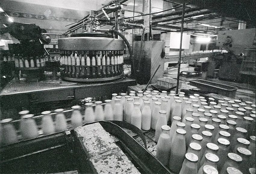 Разлив молока в бутылки. Молоко разливали в стеклянную тару. Разлив кефира на заводе фото. Молоко на разлив США. Разлив молока по бутылкам фото.