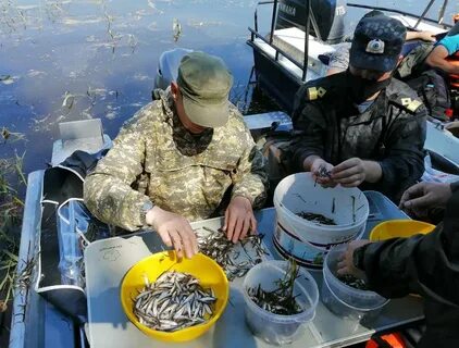 Отдел водных биологических ресурсов