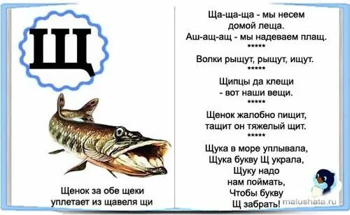 Буква щ. Стишок про букву щ. Буква щ стихи для детей. Стишки на букву щ для детей. Рыба из скороговорки 5 букв