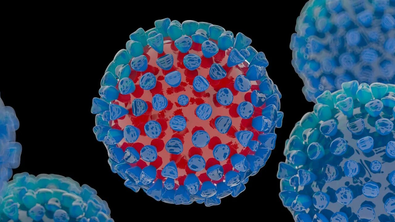 Herpes simplex 1 и 2