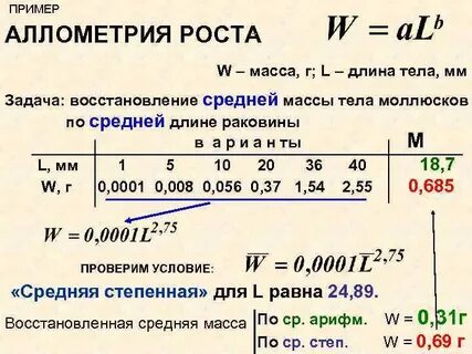 Тел мм