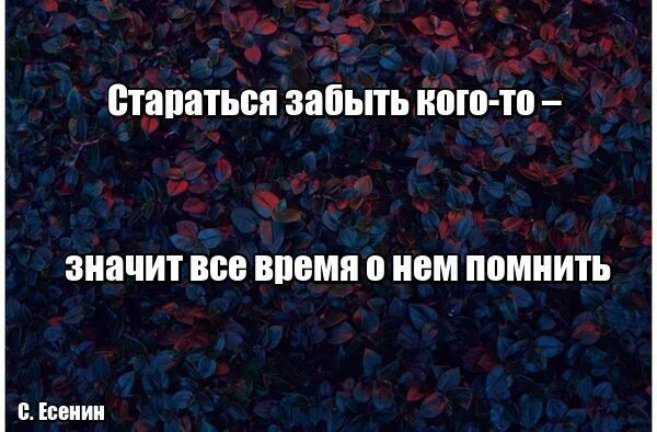 Через время вспомнил бывшую. Стараться забыть значит все время помнить. стараться забыть кого-то значит все время о нем. пытаться забыть человека значит. стараться забыть кого-то значит все время о нем помнить.