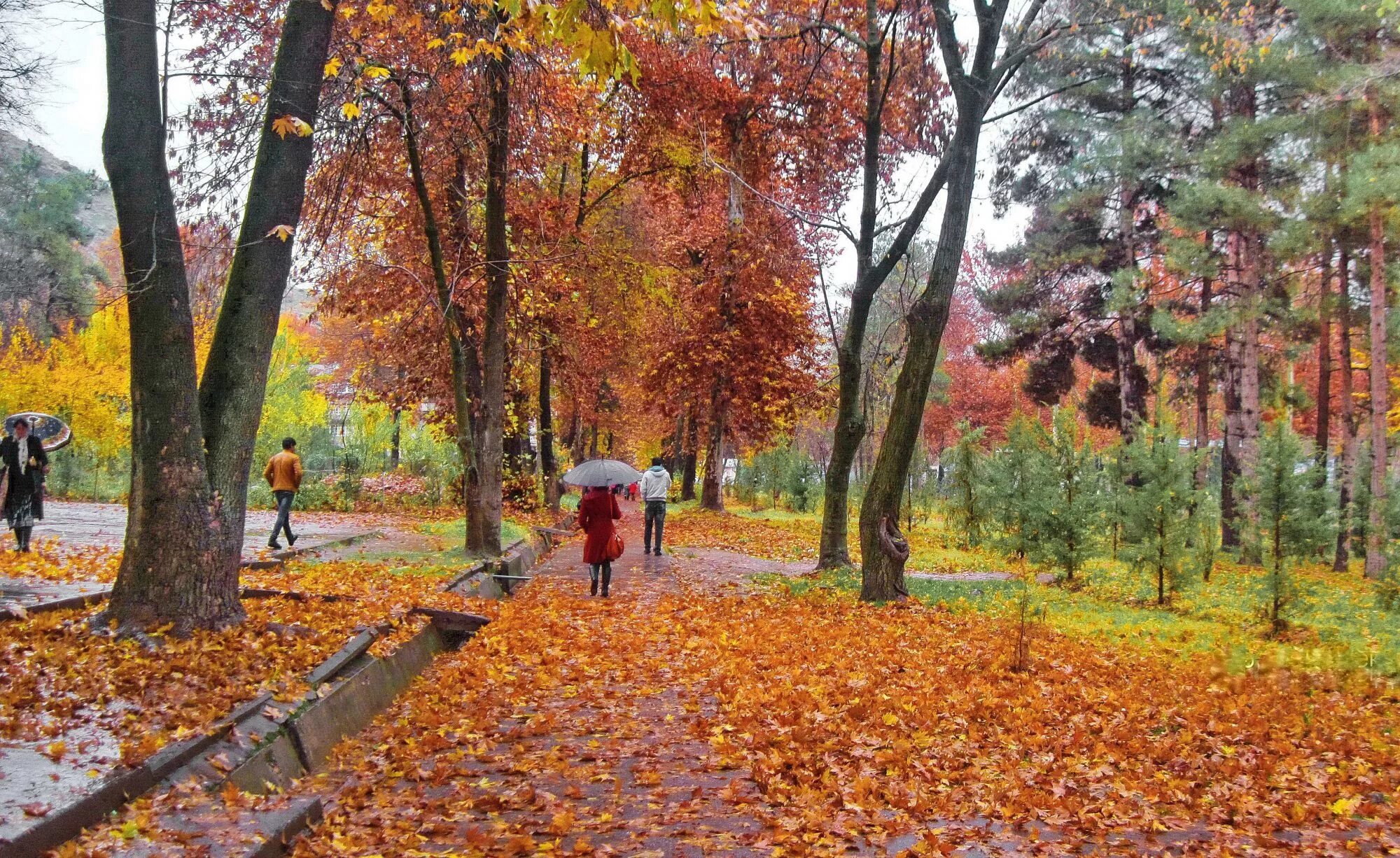 Листья над городом кружатся. Осень над городом. Осень кружатся листья. Листья кружатся в парке. Листья желтые кружатся оригинал