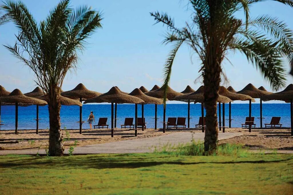 Amwaj blue beach resort spa. Египет хургада отель альбатрос бич абу сома. Египет albatros abu soma. Amwaj beach resort хургада club. Египет soma bay альбатрос хургада.