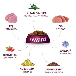 Сухой корм для котят award