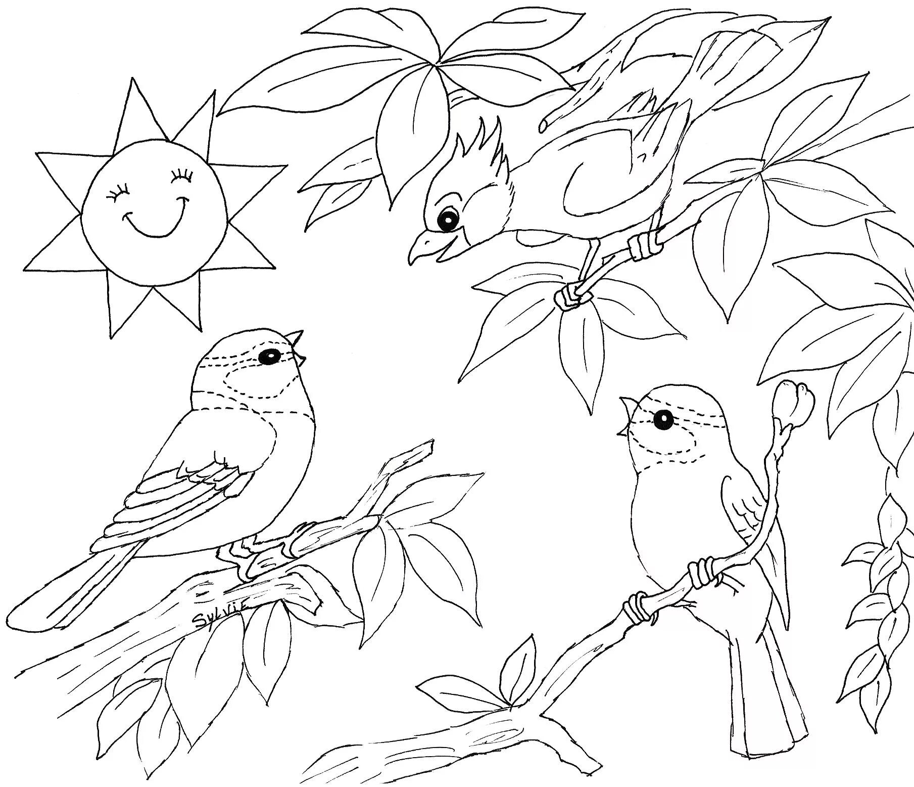 Распечатать картинку птицы для детей. Птицы. Раскраска. Птицы раскраска для детей. Птичка раскраска для детей. Весенние птицы раскраска для детей.
