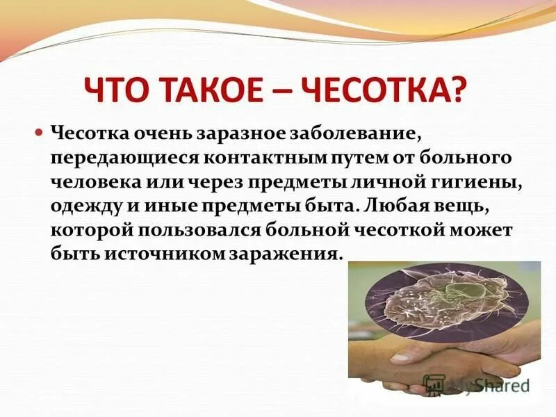 Сколько живет чесоточный. Внешние проявления чесотки. Чесотка и другие кожные заболевания.