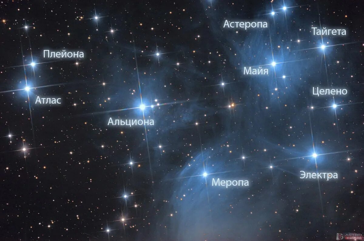 Какая звезда является самой яркой. Звезда Альциона созвездия Плеяд. Альциона в созвездии тельца. Плеяды на карте звездного неба. Семь сестер созвездия Плеяд.