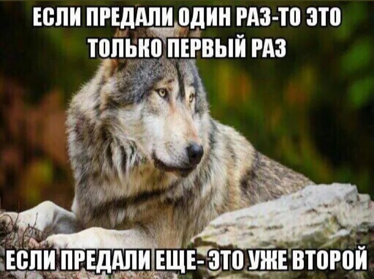 Про ауф