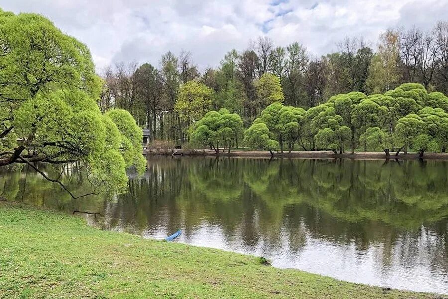 Филевский парк купить. Парк Филевский парк. Парк Фили 2023. Филевский парк Дубняк. Большой Филёвский парк Москва.