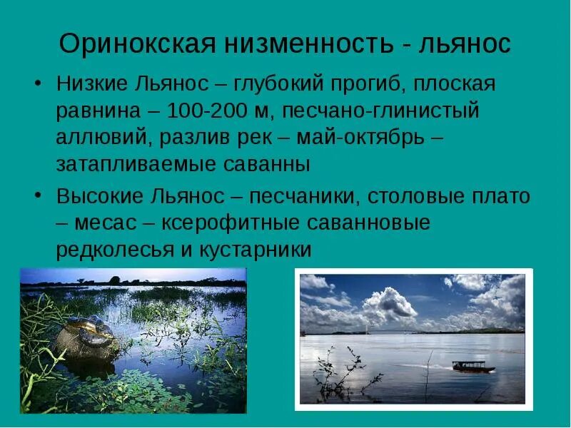 Ориеокоская низменностт. Оримокская низменности. Ориноркская низменности. Орионская пнизиеенсть.