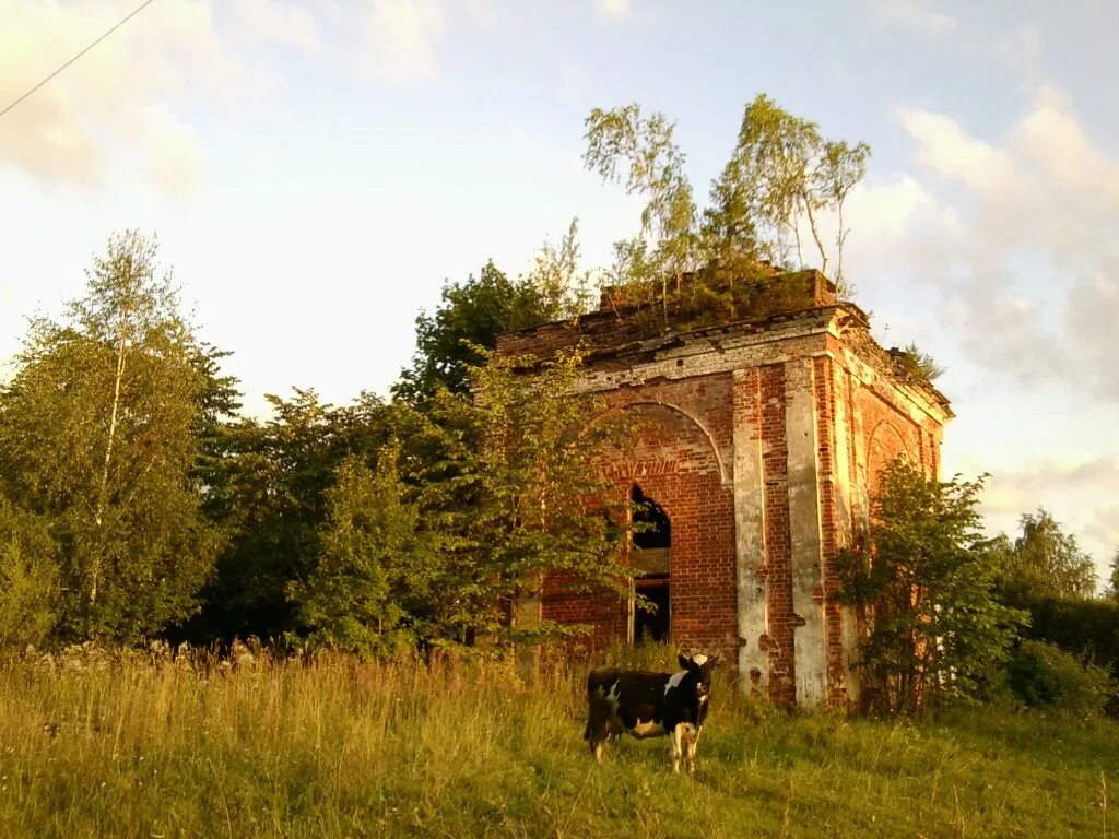 Село бабино. Бабино Тверская область Старицкий район. Д Бабино Старицкого района Тверской области. Деревня Бабино Тверская область Старицкий район. Дарьино Тверская область Старицкий район.