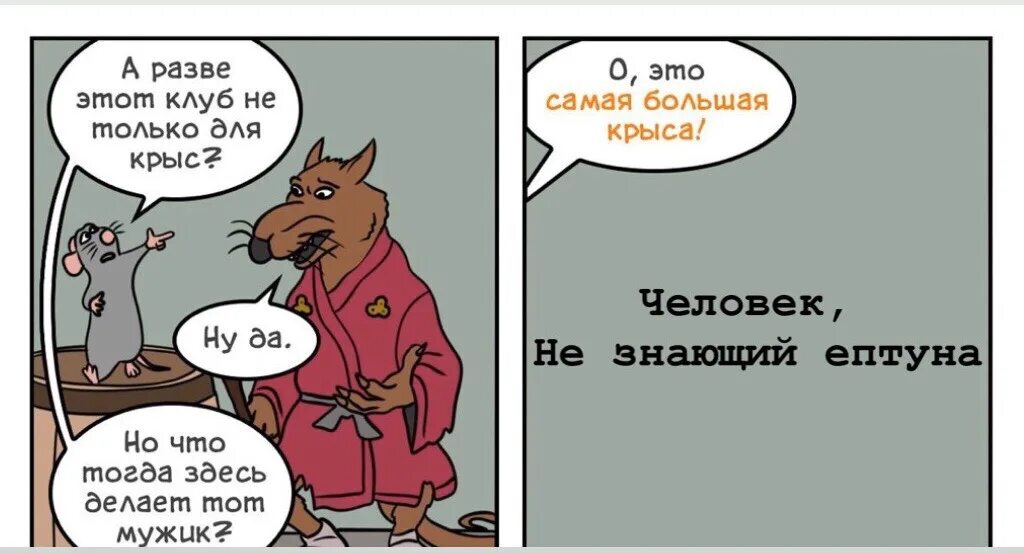 Крыса трясется. Самая большая крыса мем. мемы с крысами. мемы кр. крыса комикс.
