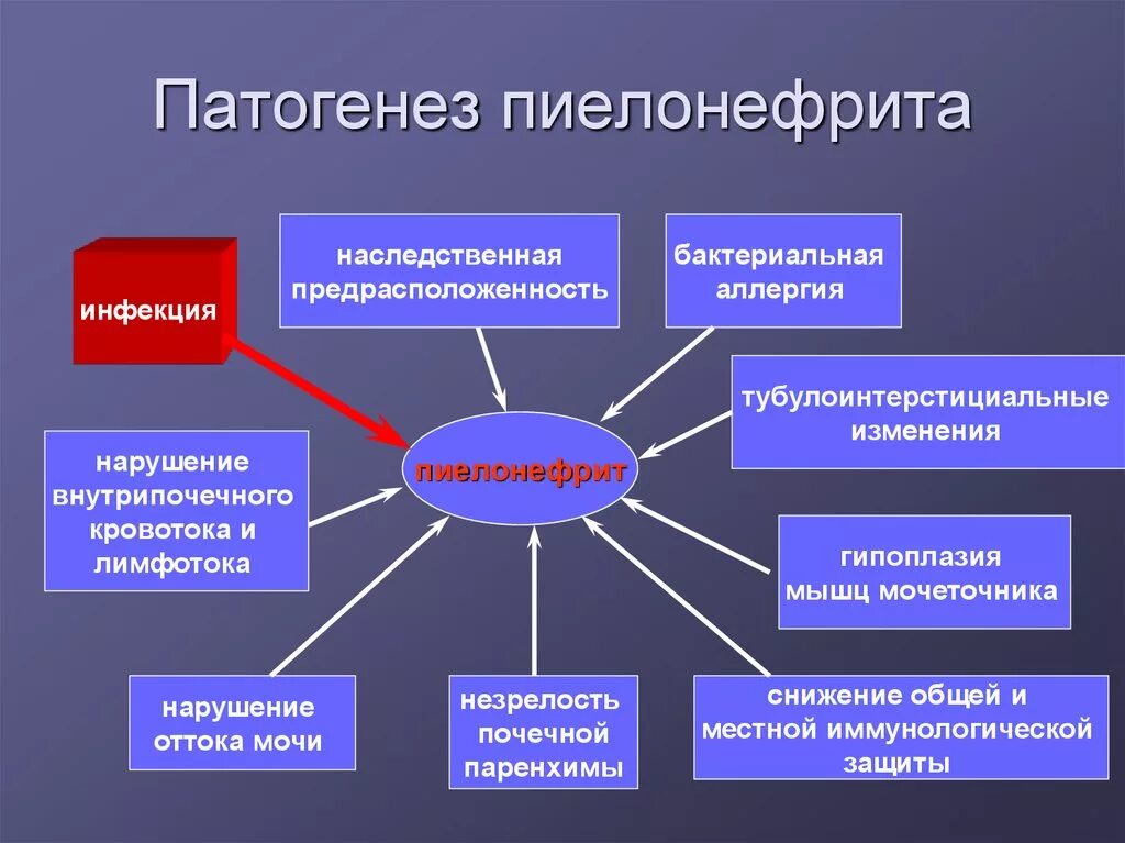 Патогенез хронического пиелонефрита схема. Патогенез пиелонефрита у беременных. Острый и хронический пиелонефрит патогенез. Острый пиелонефрит патогенез.