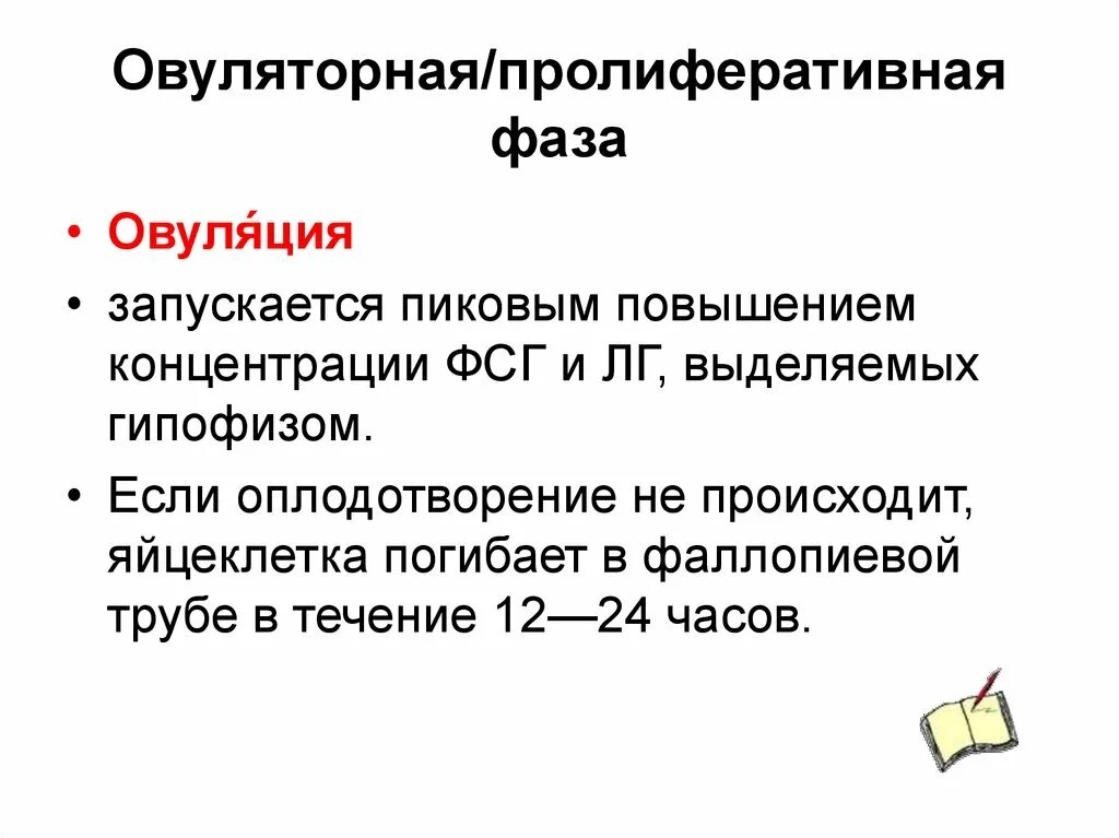 Овуляторная фаза
