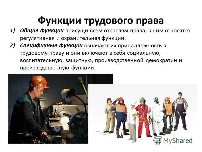 Трудовая функция.