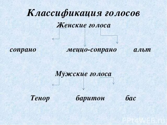 Классификация оперных голосов. Классификация певчих голосов. Мужские и женские голоса в Музыке. Типы голосов в Музыке. Мужской голос женский голос детский голос