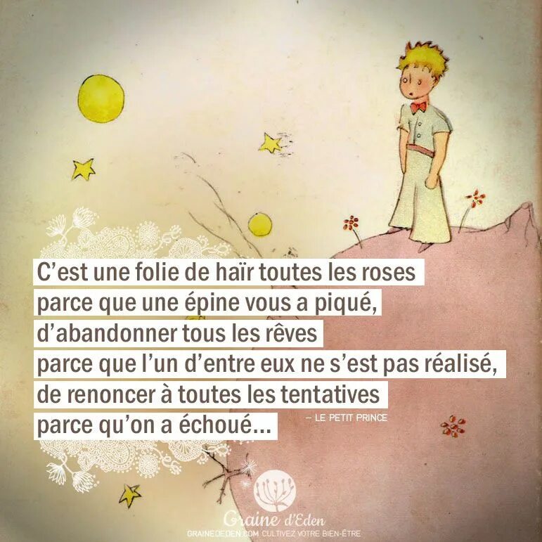 N est que la. Маленький принц. Высказывания из маленького принца. Маленькие цитаты. Маленький принц цитаты на французском.
