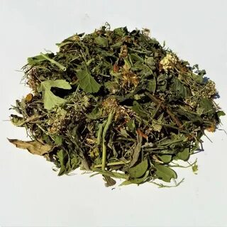 Почечный лист