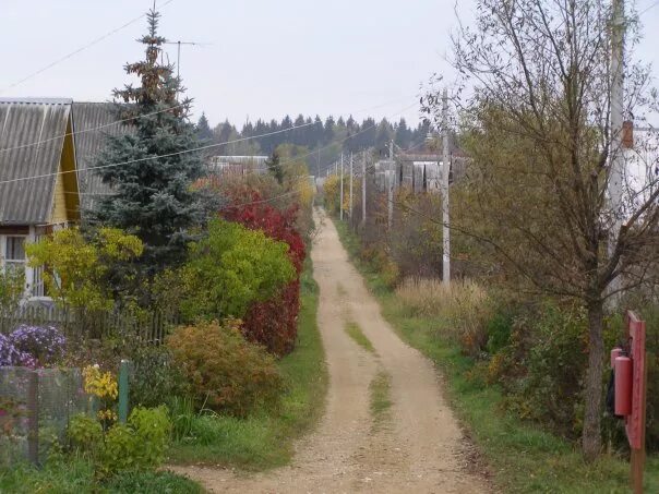 Курган деревня. Село залужье костромская область. Белобородово (московская область). Деревня белобородова северск. Деревня белобородово северск.