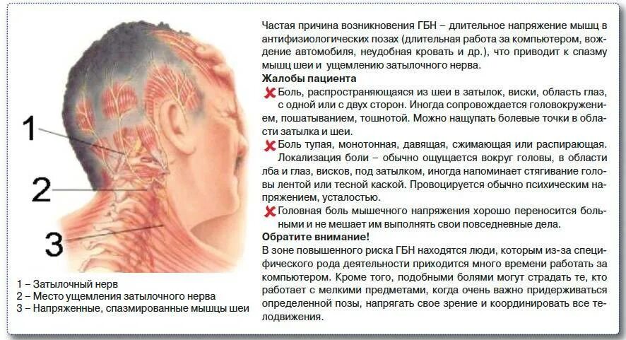 Болит шея слева форум. Боль в затылочной части головы. болит голова в затылочной части. причины головной боли. болит задняя часть головы затылок.