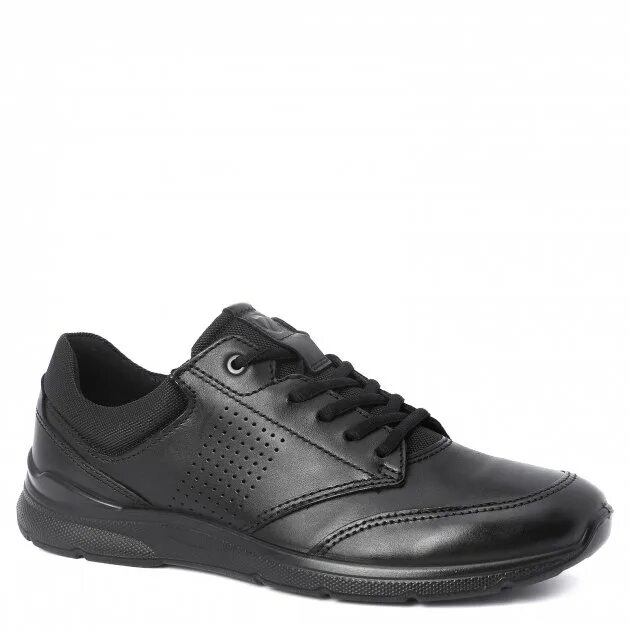 Кроссовки экко биом женские. Ecco gore tex мужские кроссовки. Ecco кроссовки женские кожаные черные. Кроссовки экко черные. Кроссовки высокие женские чёрные кожаные ecco.