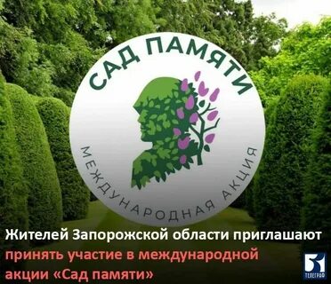 Сад памяти 2024 акция