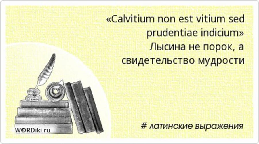 Смысл богатства. Латинские крылатые выражения картинки. Латинские крылатые фразы в картинках. Цитата про фамилию. Латинские афоризмы в картинках.