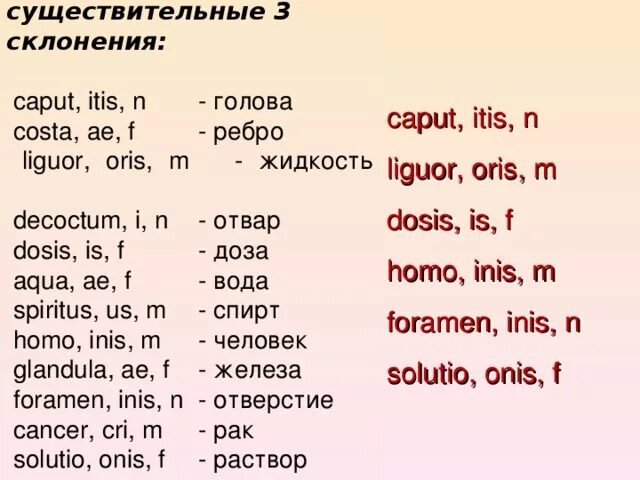 Слово латынь склонение. Существительные 3 го склонения в латинском языке. 3 Склонение существительных латынь. Существительные 3 склонения в латинском. Существительное 3 склонения в латинском языке.