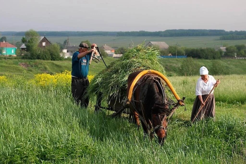 Описывать жизнь деревни