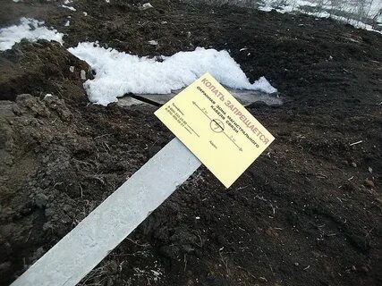 Что им строжайше запрещалось