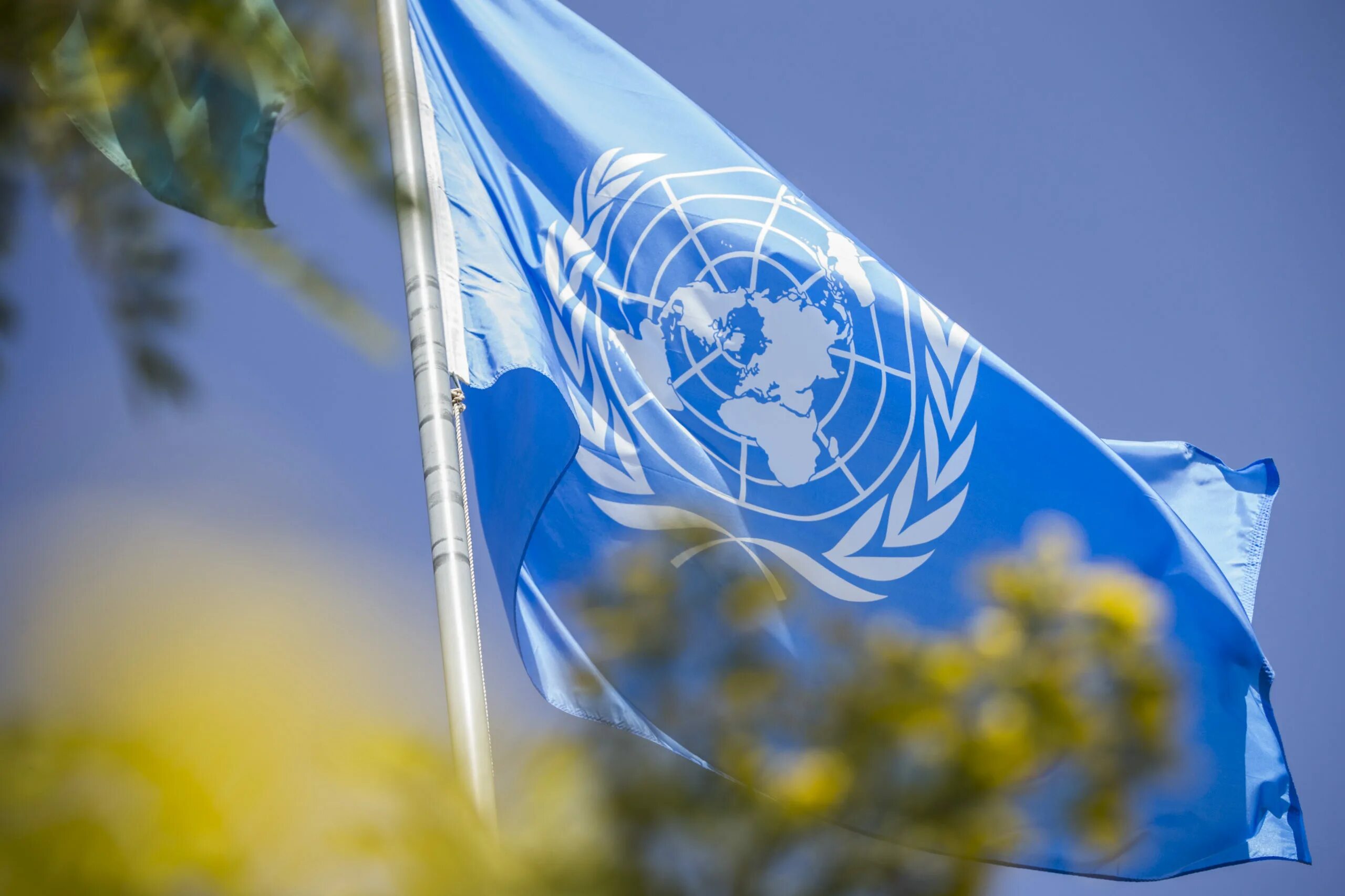 Ограничения оон. Флаг ООН. Генеральная Ассамблея ООН флаг. Флаг организации Объединенных наций. Совбез ООН флаг.