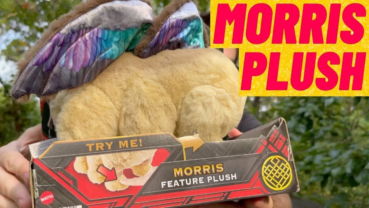Return to moris