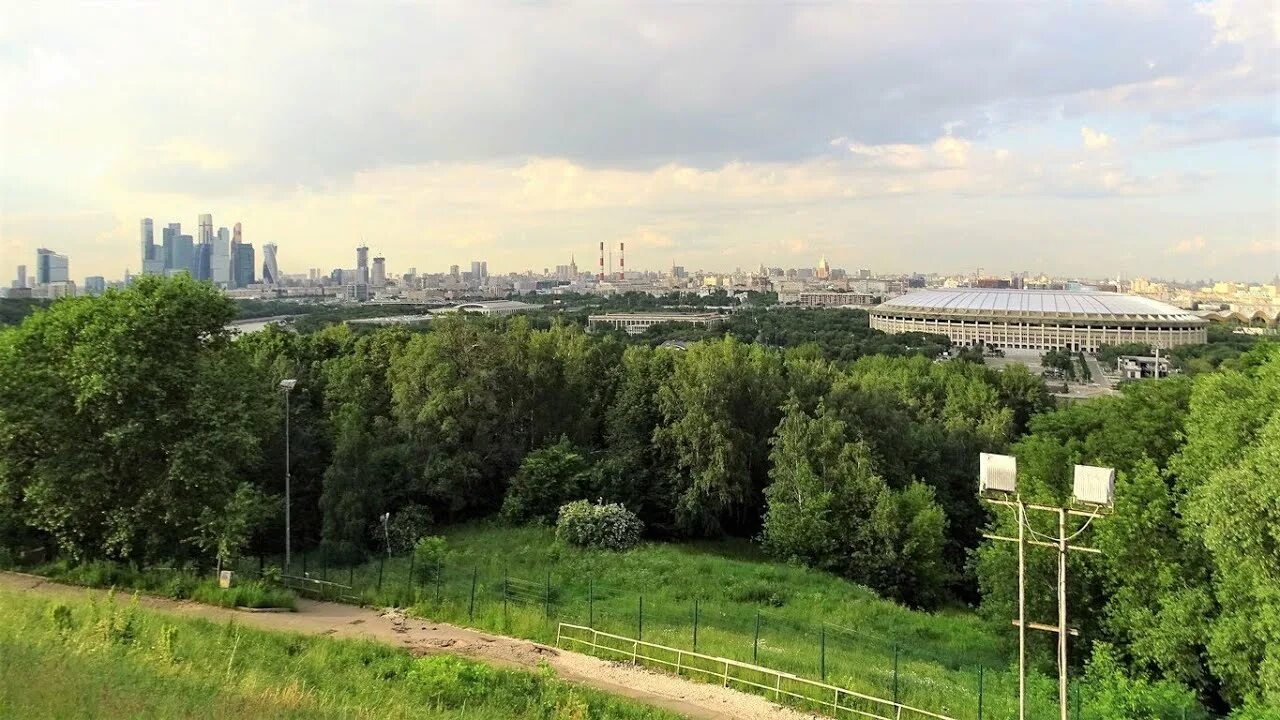 Смотровая мгу. Смотровая Воробьевы горы. Смотровая площадка МГУ. Парк Воробьевы горы смотровая площадка. Воробьевы горы МГУ смотровая.